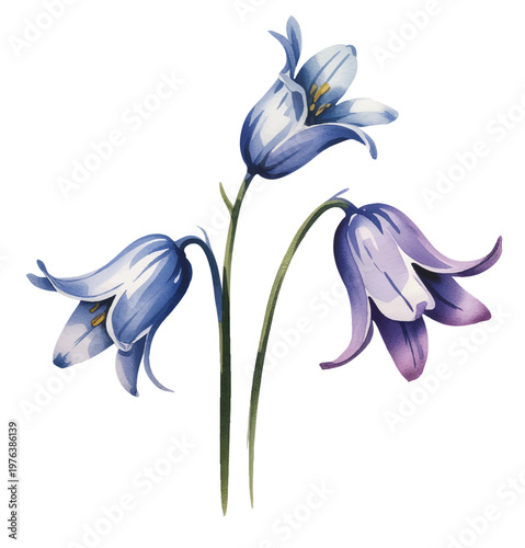 Delicate bell-shaped blossoms in calming blue tones with watercolor texture.