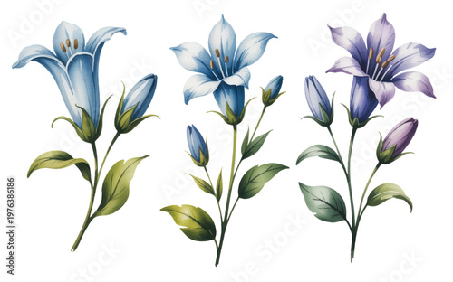 Delicate bell-shaped blossoms in calming blue tones with watercolor texture.