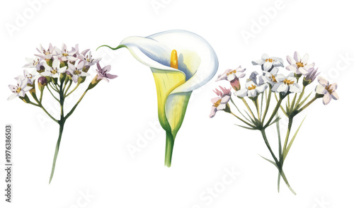 Dreamy floral composition with white calla lily and gentle wildflower clusters.