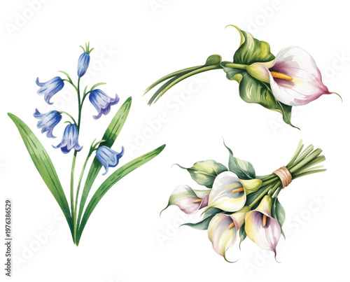 Soft watercolor floral set with blue bell flowers and elegant calla lilies.