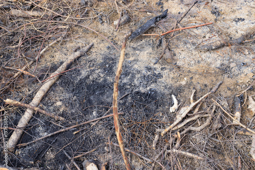 Canvastavla Traces of fire on the ground with the ashes of branches and grass on the ground