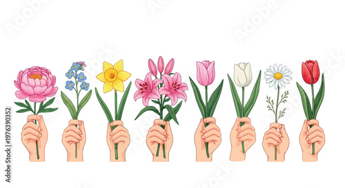 Multiple human hands present a beautiful diverse bouquet of spring flowers against a white background.