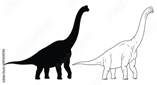 Two long necked dinosaurs one in solid black presented as a silhouette