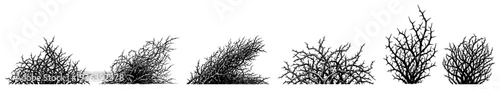 Collection of thorny bushes and dry desert tumbleweeds in vintage engraving style