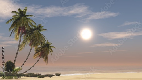 Beautiful beach with palm trees at sunset, panorama of a tropical landscape, sea sunset,
3d rendering