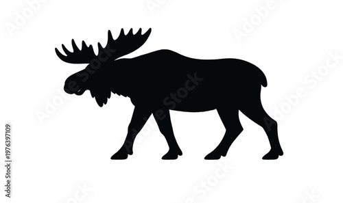 moose vector illustration