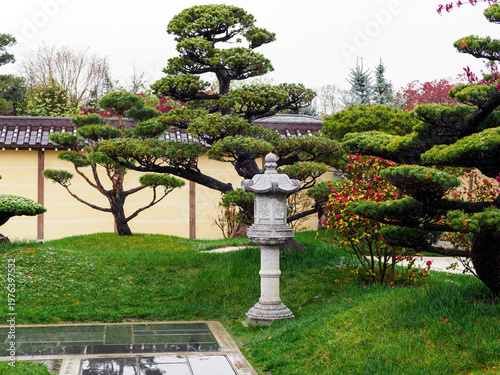 Japanese stone lantern and nivaki pines in the park in early spring