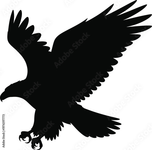 Eagle silhouette flying bird of prey wings spread wildlife vector illustration isolated on white background design element for logo