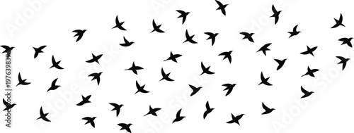 Flock of flying birds silhouettes vector illustration, abstract black bird swarm shapes, freedom wildlife concept for nature design background