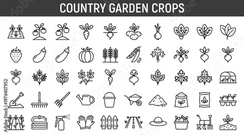 Country gardening produce featuring cultivated plant beds, red fruit plants, green fruit plants, root crop plants, tuber crop
