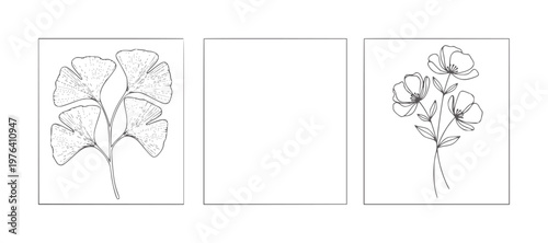 Ginkgo leaves and delicate flower stems in minimalist line flowers