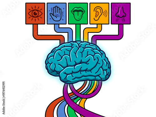 Human brain connected to five senses neural network concept colorful educational infographic illustration design