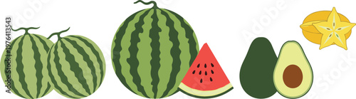 Fresh fruit set with watermelon whole and slice avocado starfruit and tropical healthy food vector illustration collection