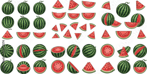 Watermelon collection with whole fruits sliced halves wedges and cross sections fresh summer juicy vector illustration set