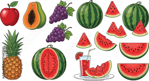 Watermelon fruit collection with slices whole fruits juice glass pineapple grapes papaya and apple fresh vector illustration set