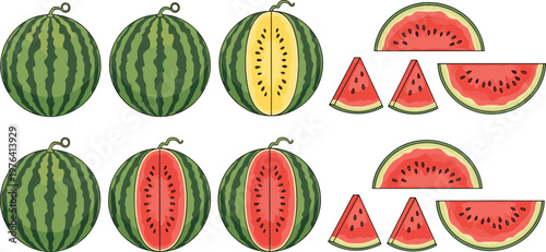 Watermelon fruit collection with whole and sliced melons showing red and yellow varieties fresh summer food vector illustration set