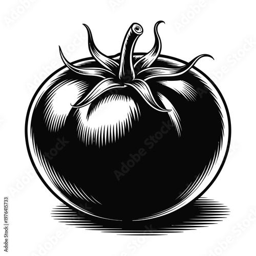 A detailed black and white engraving of a ripe tomato with artistic shading silhouette