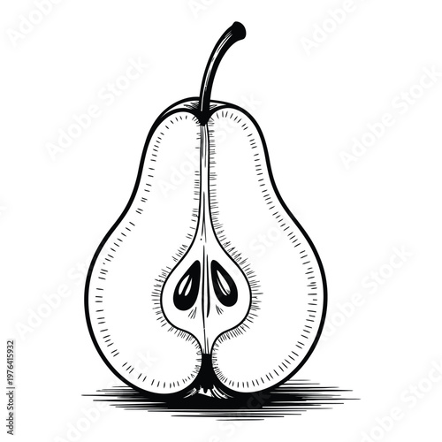 A detailed illustration of a halved pear showcasing the seeds and internal structure silhouette