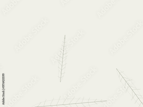 Leaf Vein Branch Pattern Natural Eco Design Backdrop