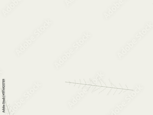 Leaf Vein Branch Pattern Natural Plant Design Wallpaper