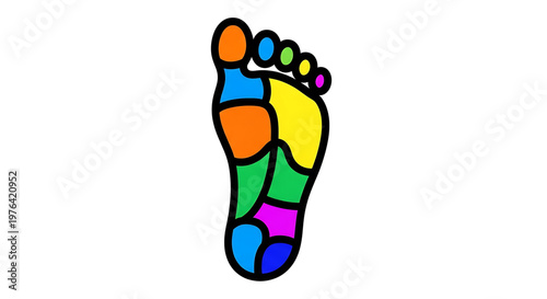 A colorful illustration of a human foot with various zones highlighted in different colors