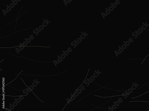 Mysterious Smoke Tendril Fog Atmospheric Design Backdrop