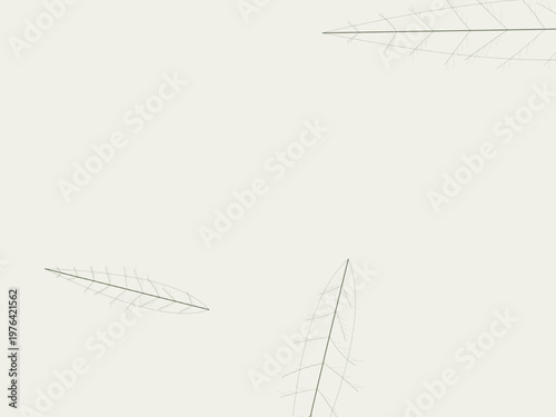 Organic Leaf Vein Network Botanical Nature Background