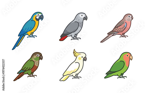 A cute cartoon vector icon set of popular pet parrot species. Includes macaw, cockatoo, and lovebird illustrations for educational or design projects.