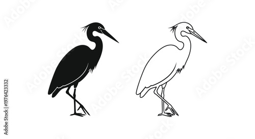 Black and White Heron Birds Illustration Vector