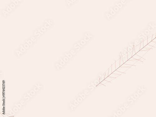 Natural Leaf Vein Pattern Botanical Branch Design