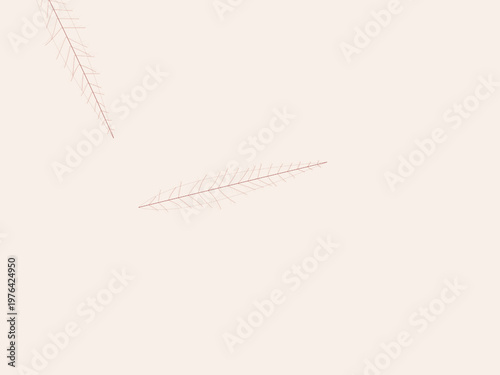 Botanical Leaf Vein Network Natural Organic Pattern Background