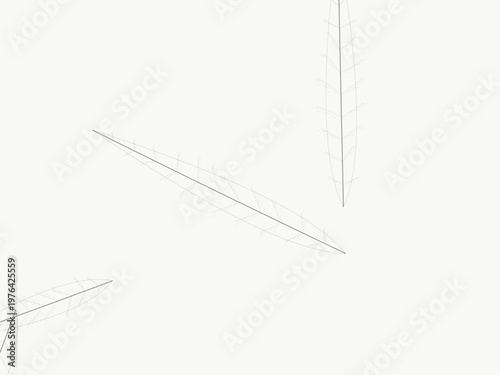 Botanical Leaf Skeleton Vein Network Organic Background