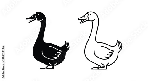 Black and White Ducks Illustration - Classic Waterfowl Designs Vector