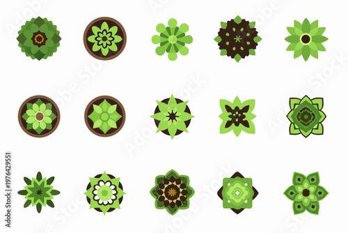 A collection of vibrant top down views of various green succulent plants