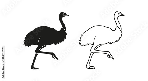 Emu vs Ostrich Bird Silhouette Comparison Guide Vector