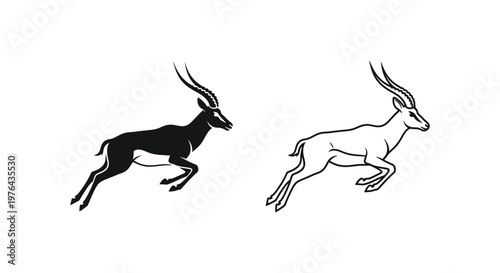 Antelope Species Comparison Guide Vector