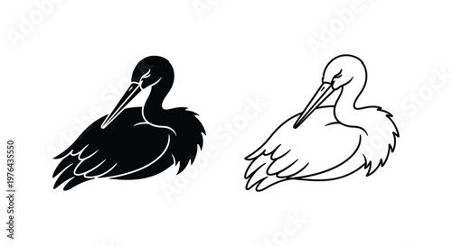 BlackAndWhiteBirdsComparisonGuide Vector