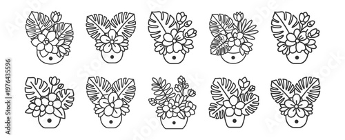 set of various potted flower line art icons collection on transparent background