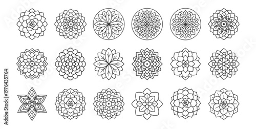 set of ornamental floral geometric vector icons botanical design elements on transparent background