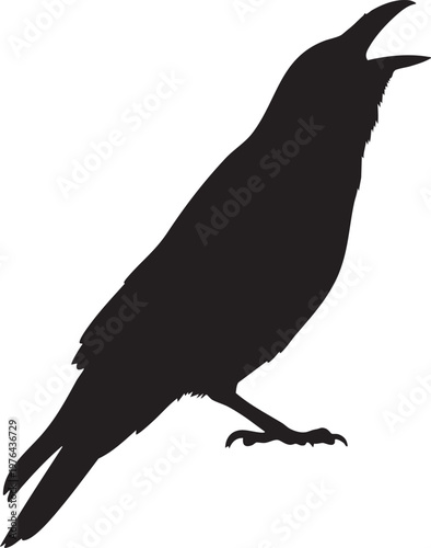 Silhouette of hands tying shoelace knot isolated on white background with shoelace silhouette fastening