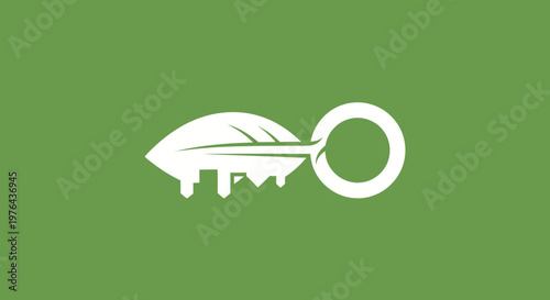 White key with feather attached.