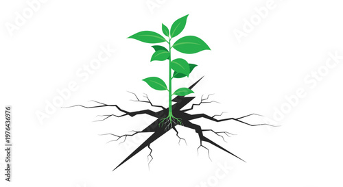 Small green plant with roots growing.