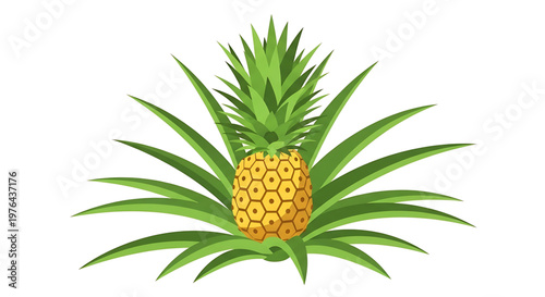 A vibrant illustration of a pineapple with lush green leaves on a white background