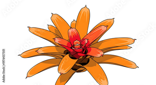 A vibrant orange flower with a red center, illustrated in a modern and minimalist style.