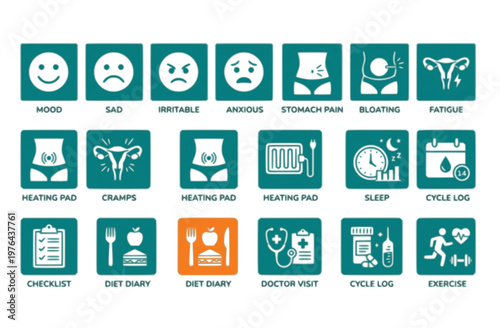 PMS Symptom Logging Mood-Tracking Cramps Bloating Headache Symptom-Diary PMS-Tracking Symptom-Log Vector Icon Set - PMS Tracking
