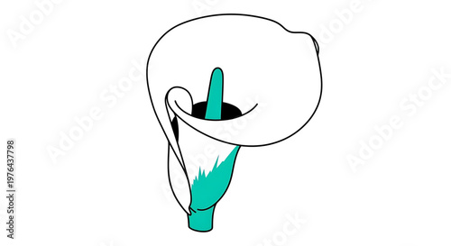 A vector graphic illustration of a stylized ear with a teal-colored earring