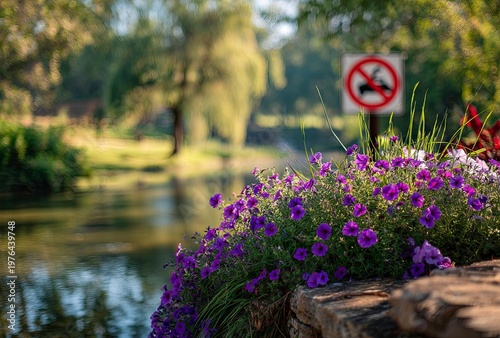 Beautiful flowers by the river with a park sign nature scene