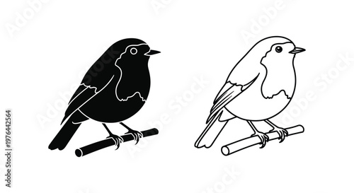 Black and Brown Bird Illustrations - Nature Sketches Vector