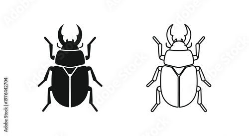 Beetle Identification Guide Black vs White Beetles Vector