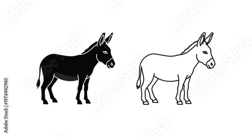 Donkey Types Black vs White Donkeys Guide Vector